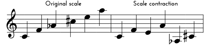 Symmetry scales guide - an example of scale contraction